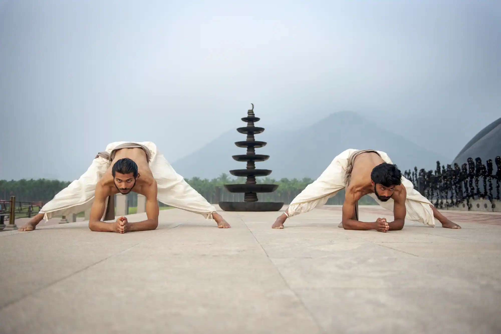 Angamardana image